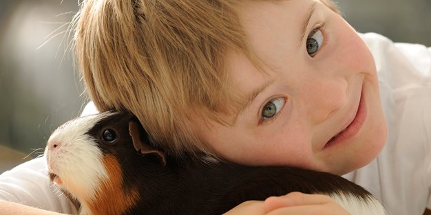 A young boy with downs syndrome hugging a guinea pig. Photo