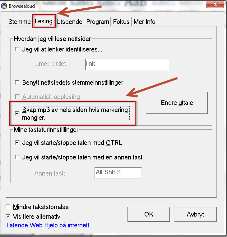 Avkryssingboks i dialogboksen til Talende Webs innstillinger. Det er huket av for at programmet skal "skape en mp3 fil av hele siden hvis markering mangler. Skjermbilde