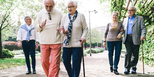 En grupp äldre personer som promenerar i en trädgård. Foto