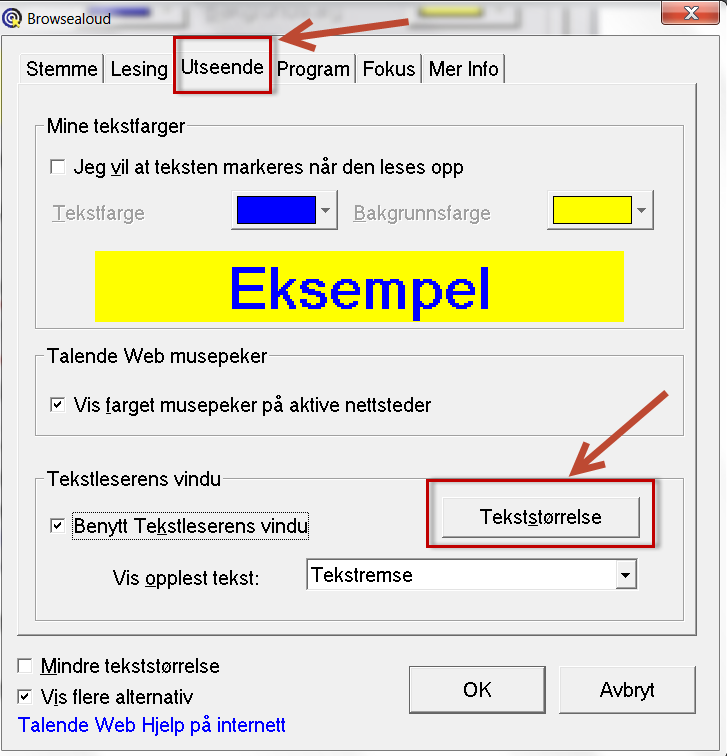 Dialogboks til Talende Web der knappen for å endre tekststørrelse er markert med en rød firkat. Skjermbilde