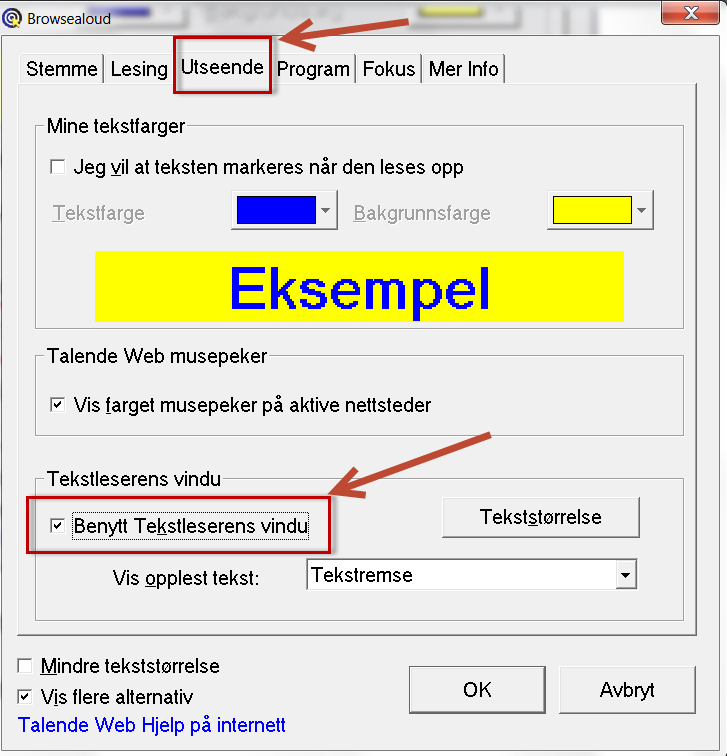 Dialogboks i Talende Web hvor alternativet "benytt tekstleserens vindu" er huket av. Skjermbilde